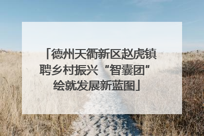 德州天衢新区赵虎镇聘乡村振兴“智囊团” 绘就发展新蓝图