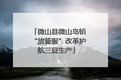 微山县微山岛镇“放管服”改革护航三夏生产