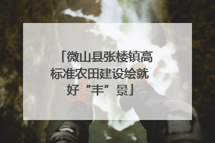 微山县张楼镇高标准农田建设绘就好“丰”景