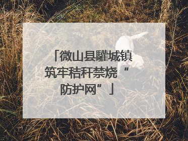 微山县驩城镇筑牢秸秆禁烧“防护网”