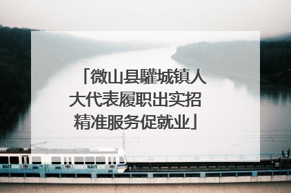 微山县驩城镇人大代表履职出实招精准服务促就业