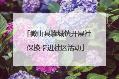 微山县驩城镇开展社保换卡进社区活动
