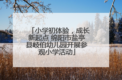 小学初体验，成长新起点 绵阳市盐亭县岐伯幼儿园开展参观小学活动