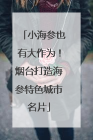 小海参也有大作为！烟台打造海参特色城市名片