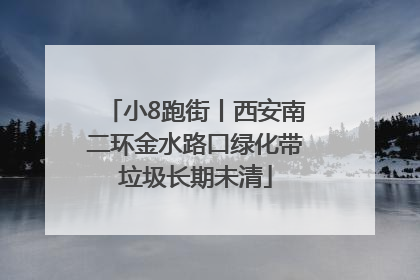 小8跑街丨西安南二环金水路口绿化带垃圾长期未清