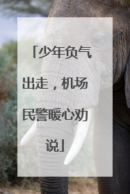少年负气出走，机场民警暖心劝说