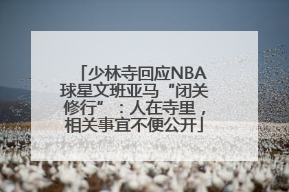 少林寺回应NBA球星文班亚马“闭关修行”：人在寺里，相关事宜不便公开