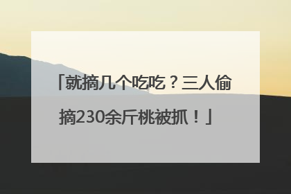 就摘几个吃吃？三人偷摘230余斤桃被抓！