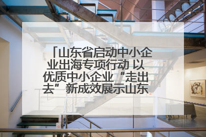 山东省启动中小企业出海专项行动 以优质中小企业“走出去”新成效展示山东产业发展新形象