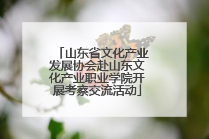 山东省文化产业发展协会赴山东文化产业职业学院开展考察交流活动