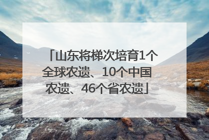 山东将梯次培育1个全球农遗、10个中国农遗、46个省农遗