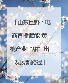 山东巨野：电商直播赋能 黄桃产业“甜”出发展新路径