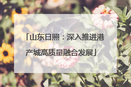 山东日照：深入推进港产城高质量融合发展