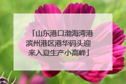 山东港口渤海湾港滨州港区港华码头迎来入夏生产小高峰