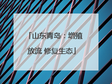 山东青岛：增殖放流 修复生态