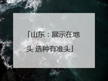 山东：展示在地头 选种有准头