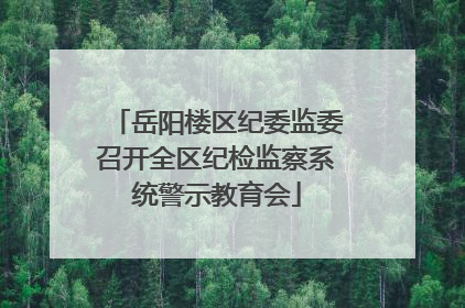 岳阳楼区纪委监委召开全区纪检监察系统警示教育会