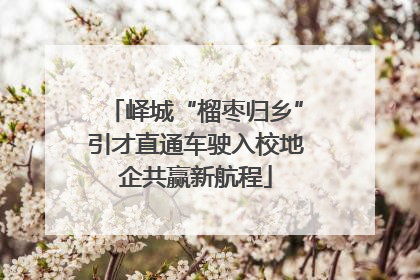 峄城“榴枣归乡”引才直通车驶入校地企共赢新航程