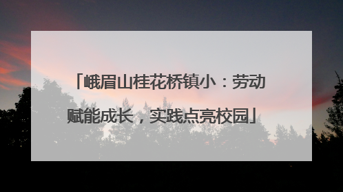 峨眉山桂花桥镇小：劳动赋能成长，实践点亮校园