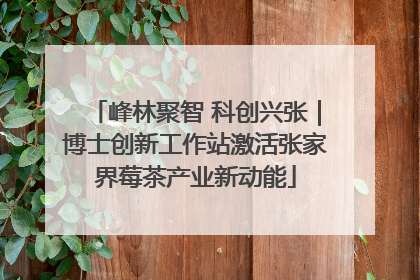 峰林聚智 科创兴张｜博士创新工作站激活张家界莓茶产业新动能