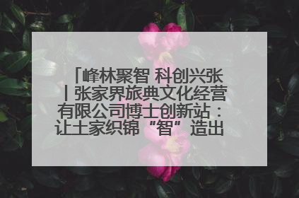 峰林聚智 科创兴张丨张家界旅典文化经营有限公司博士创新站：让土家织锦“智”造出非遗新传奇