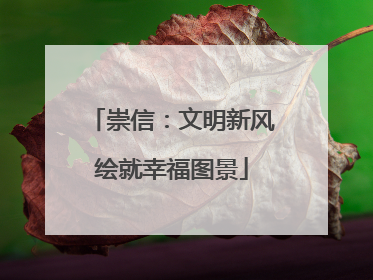 崇信：文明新风绘就幸福图景