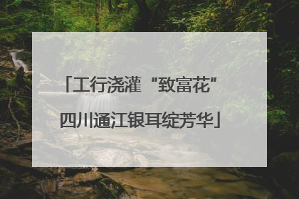 工行浇灌“致富花” 四川通江银耳绽芳华