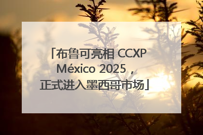 布鲁可亮相 CCXP México 2025，正式进入墨西哥市场