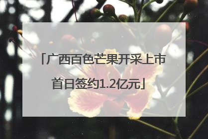 广西百色芒果开采上市 首日签约1.2亿元