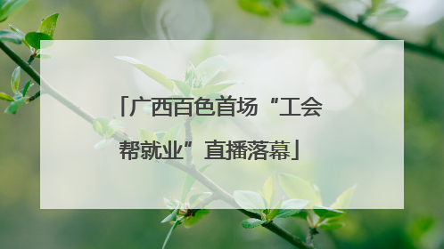 广西百色首场“工会帮就业”直播落幕