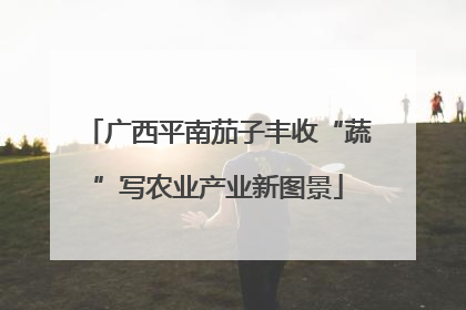 广西平南茄子丰收“蔬”写农业产业新图景