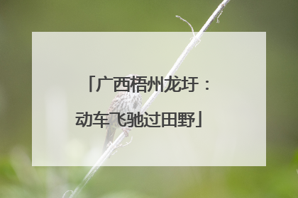 广西梧州龙圩：动车飞驰过田野