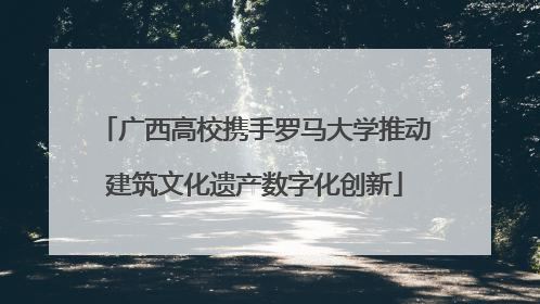 广西高校携手罗马大学推动建筑文化遗产数字化创新