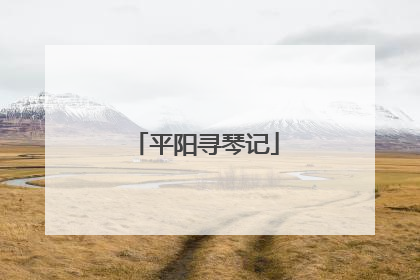 平阳寻琴记