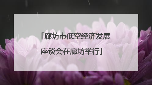 廊坊市低空经济发展座谈会在廊坊举行