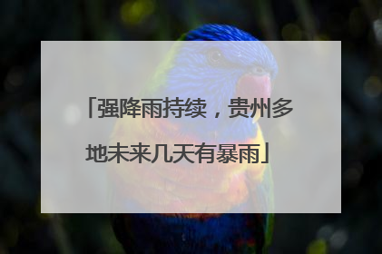 强降雨持续，贵州多地未来几天有暴雨