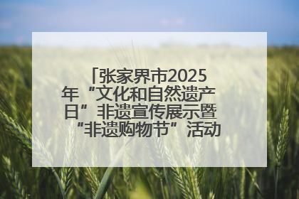 张家界市2025年“文化和自然遗产日”非遗宣传展示暨“非遗购物节”活动在慈利县盛大启幕