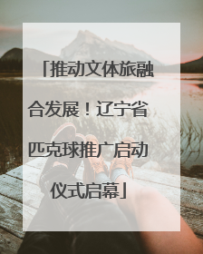 推动文体旅融合发展！辽宁省匹克球推广启动仪式启幕
