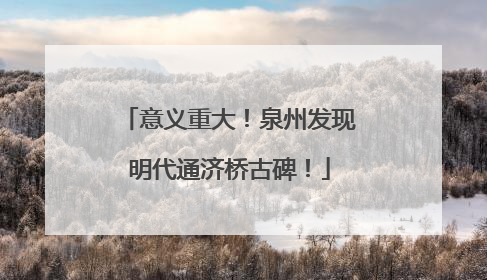 意义重大！泉州发现明代通济桥古碑！