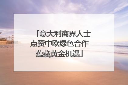 意大利商界人士点赞中欧绿色合作蕴藏黄金机遇