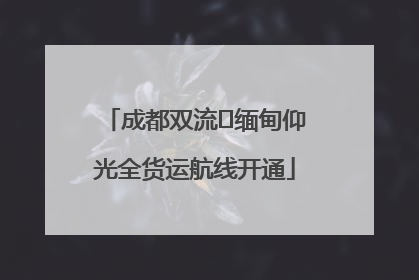 成都双流⇌缅甸仰光全货运航线开通