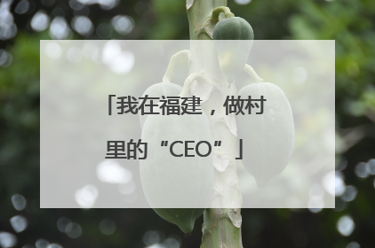 我在福建，做村里的“CEO”