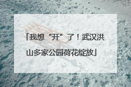 我想“开”了！武汉洪山多家公园荷花绽放