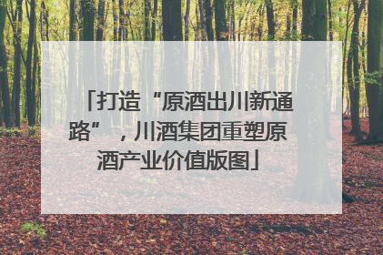 打造“原酒出川新通路”，川酒集团重塑原酒产业价值版图