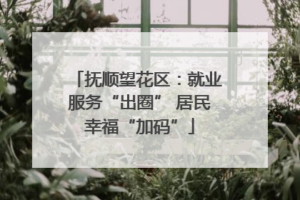 抚顺望花区：就业服务“出圈” 居民幸福“加码”