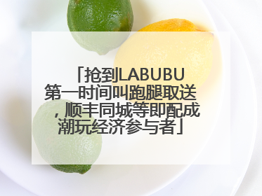 抢到LABUBU第一时间叫跑腿取送，顺丰同城等即配成潮玩经济参与者