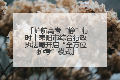 护航高考“静”行时丨耒阳市综合行政执法局开启“全方位护考”模式