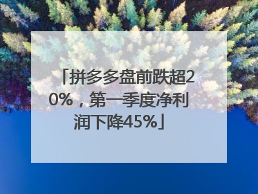 拼多多盘前跌超20%，第一季度净利润下降45%
