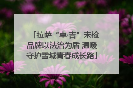 拉萨“卓·吉”未检品牌以法治为盾 温暖守护雪域青春成长路