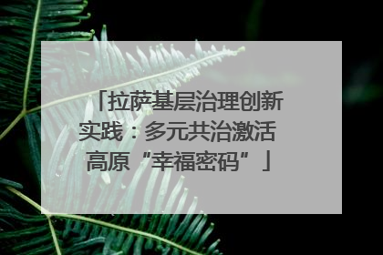 拉萨基层治理创新实践：多元共治激活高原“幸福密码”